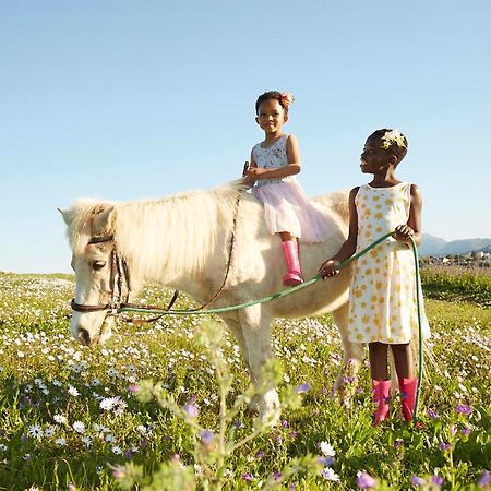 Lighthouse Farm Backpackers Lodge Cape Town Dış mekan fotoğraf
