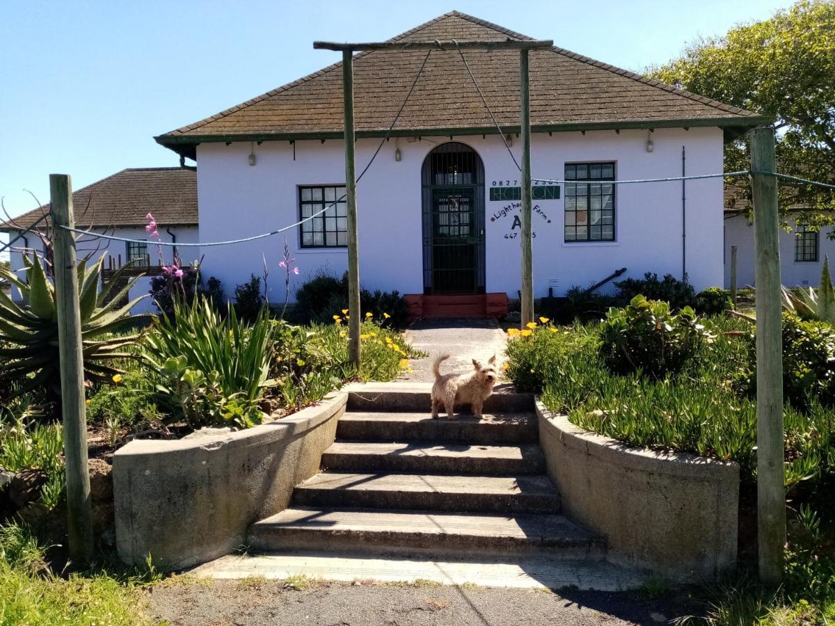 Lighthouse Farm Backpackers Lodge Cape Town Dış mekan fotoğraf