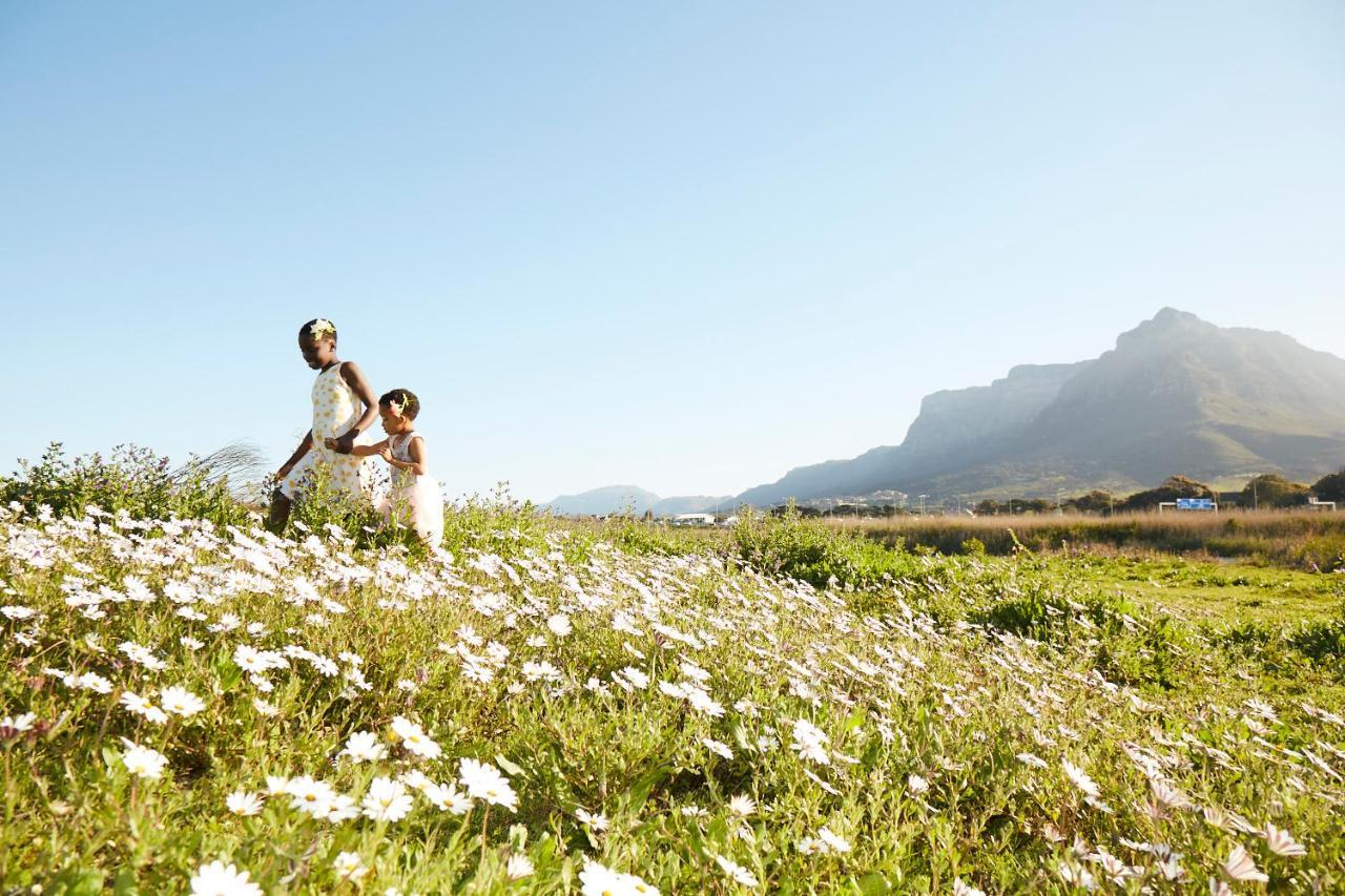 Lighthouse Farm Backpackers Lodge Cape Town Dış mekan fotoğraf