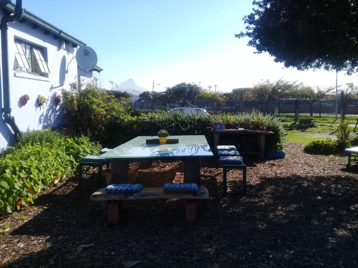 Lighthouse Farm Backpackers Lodge Cape Town Dış mekan fotoğraf
